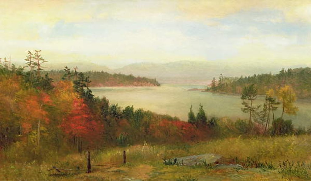 Detail of Raquette Lake, 1869 by Homer Dodge Martin