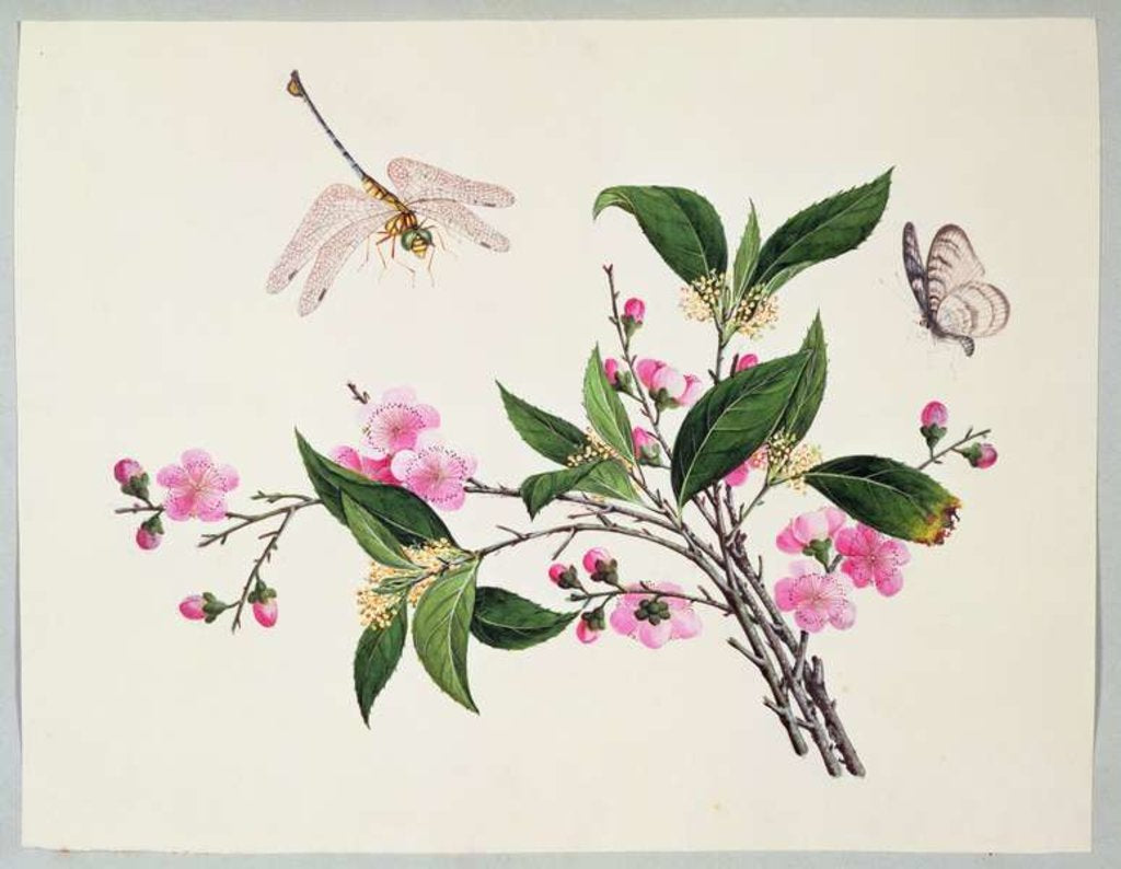 Detail of Cherry Blossom Dragonfly and Butterfly by School Chinese
