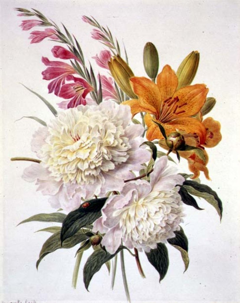 Detail of Sprays of Gladioli, Peonies and Lilium Bulbiferum by Henriette Gertruide Knip