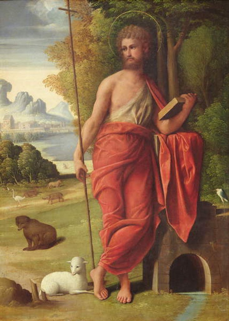 Detail of St. John the Baptist in the Wilderness, c.1525 by Ortolano
