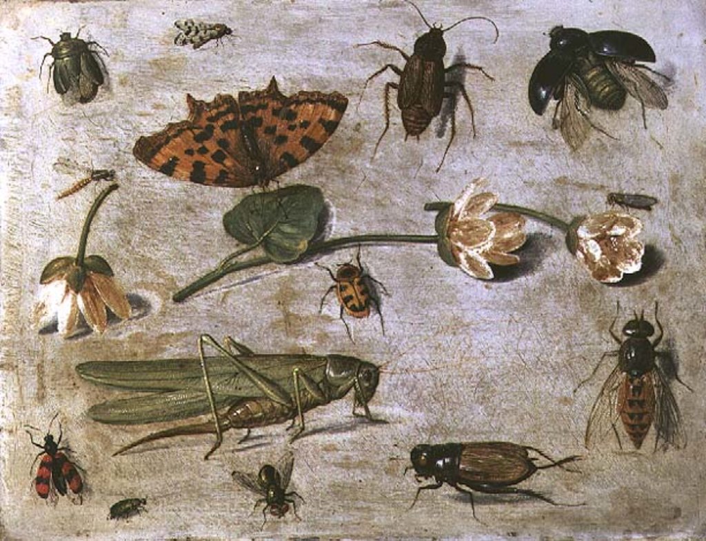 Detail of Insects by Jan van the Elder Kessel