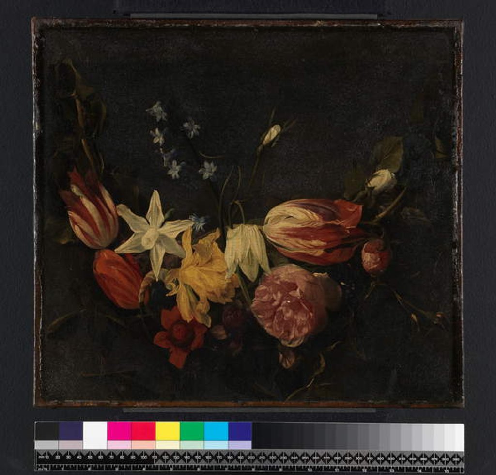 Detail of Festoon of flowers, before 1661 by Daniel Seghers