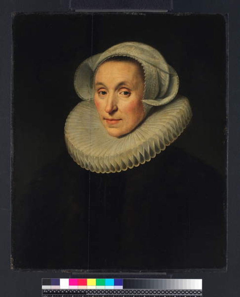 Detail of Portrait of a Lady, 1615 by Michiel Jansz. van Miereveld