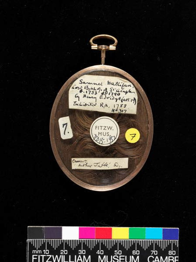 Detail of Samuel Hallifax, LL.D., D.D., Bishop of Gloucester 1733-90, 1788 by Henry Edridge