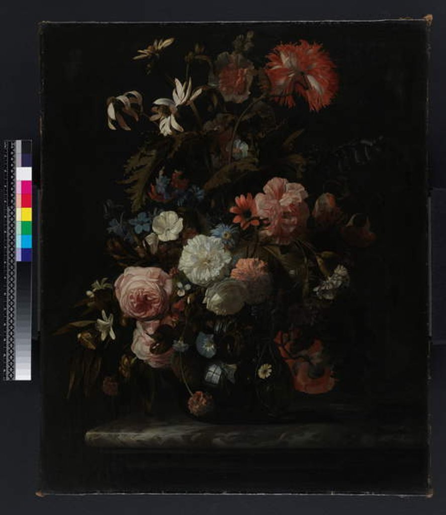 Detail of Group of flowers, before 1721 by Simon Peeterz Verelst