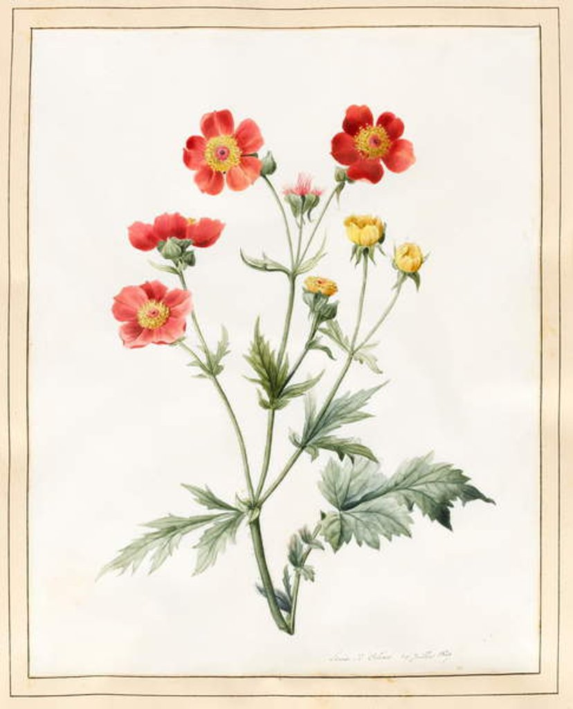 Detail of Composite, 1827 by Louise D'Orleans