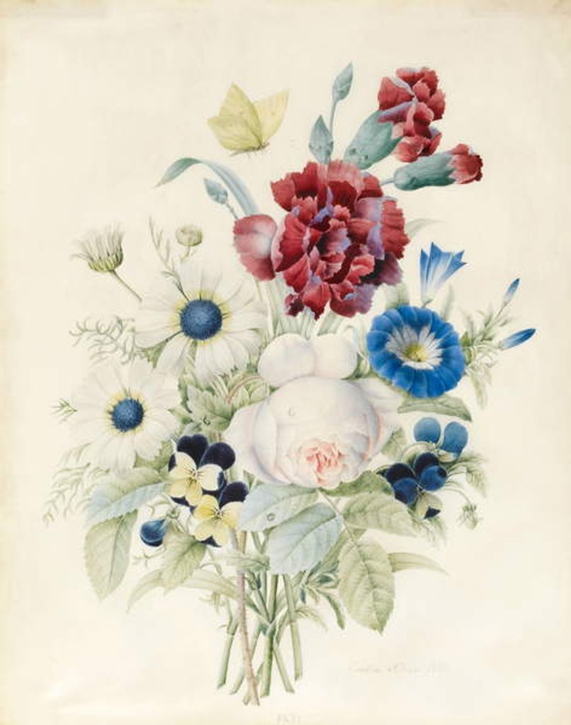 Detail of A Spray of Flowers including a Rose, a Blue Convolvulus and Pansies, 1830 by Caroline Adrien