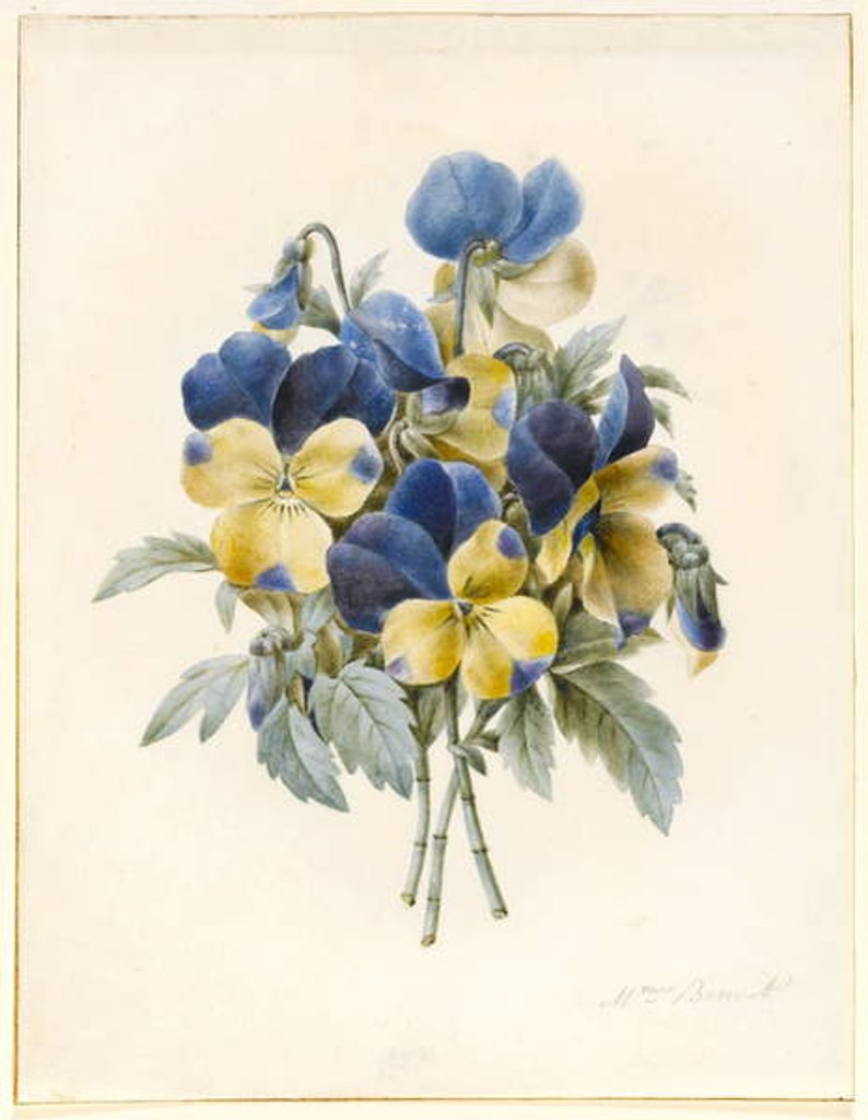 Detail of Sprig of Pansies by Madame Benoit