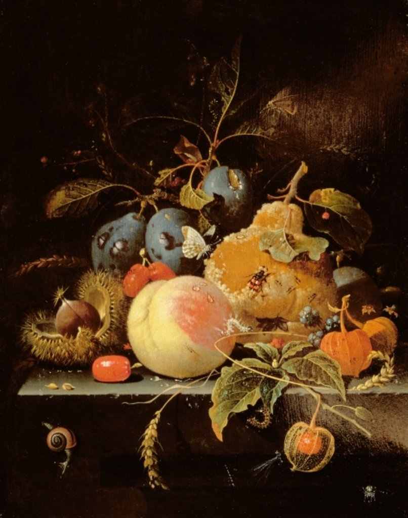 Detail of Still Life of Fruit and Nuts on a Stone Ledge by Abraham Mignon