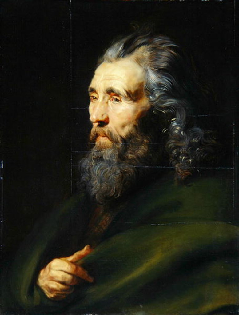 Detail of Head Study of a Bearded Man, c.1617 by Peter Paul Rubens