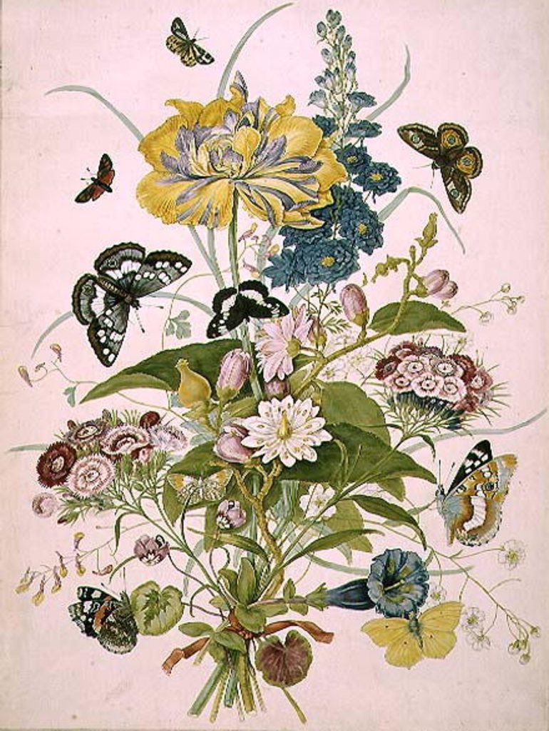 Detail of PD.912-1973 Still life of flowers including a parrot tulip, larkspur, sweet william, gentian and cyclamen, 1769 by Thomas Robins