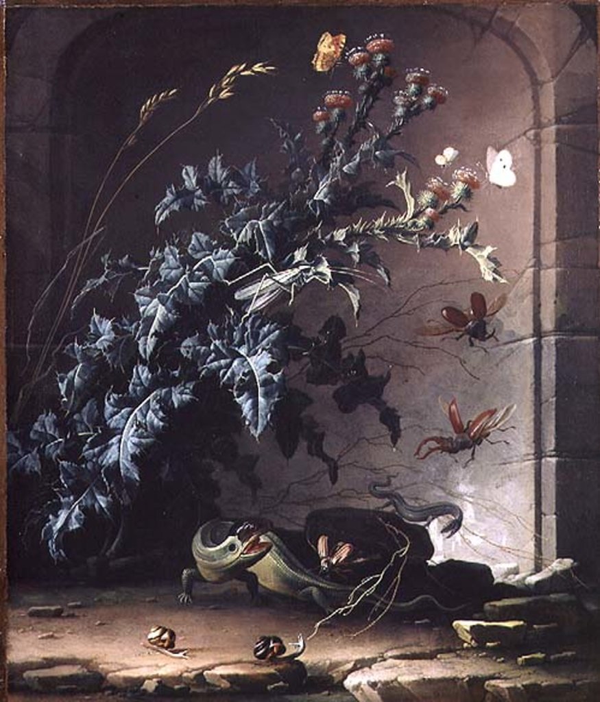 Detail of Stone Niche with Thistle, Lizard and Insects, 1690 by Elias van den Broeck