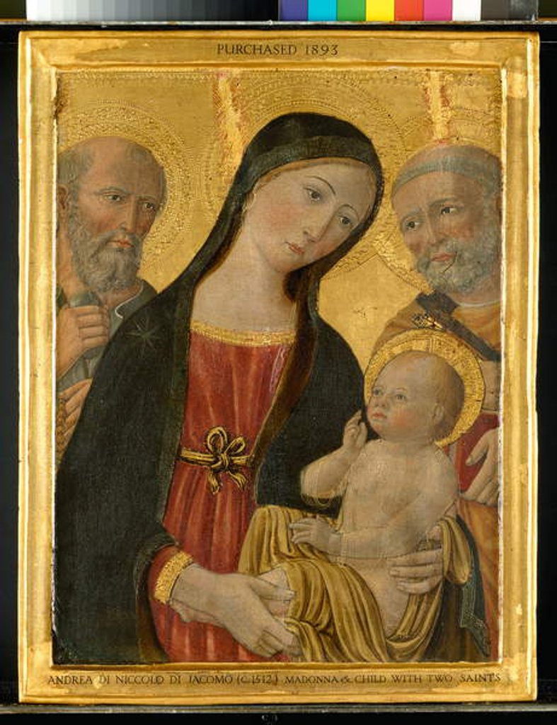 Detail of Virgin and Child between St. Jerome and St. Peter, c.1500 by Andrea di Niccolò di Giacomo