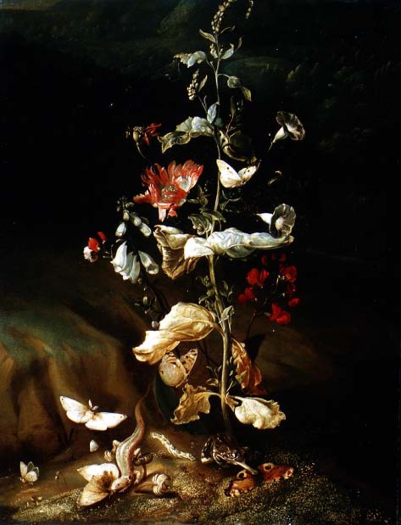 Detail of Still life with flowers by Otto Marseus van Schrieck