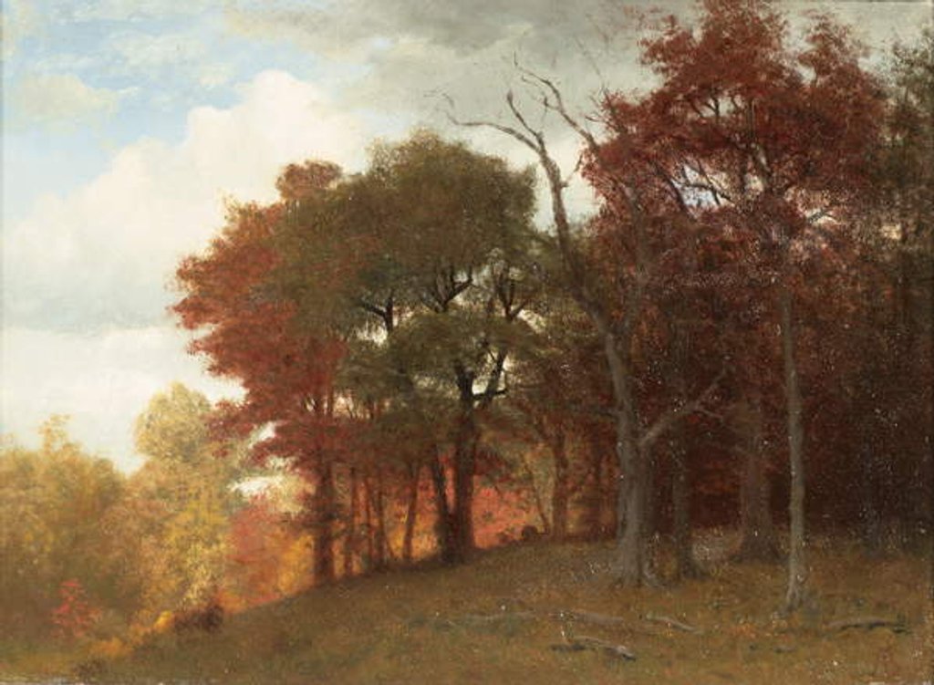 Detail of Hastings on the Hudson River, 1865 by Albert Bierstadt