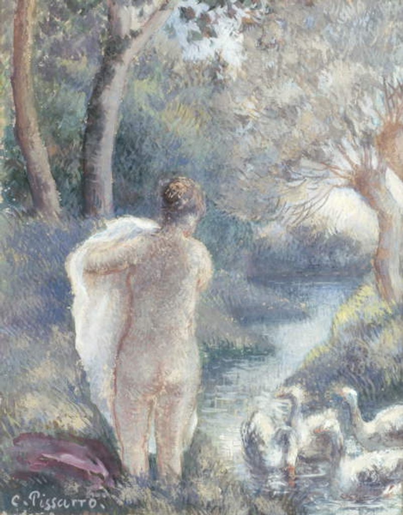 Detail of Nude with Swans, c.1895 by Camille Pissarro