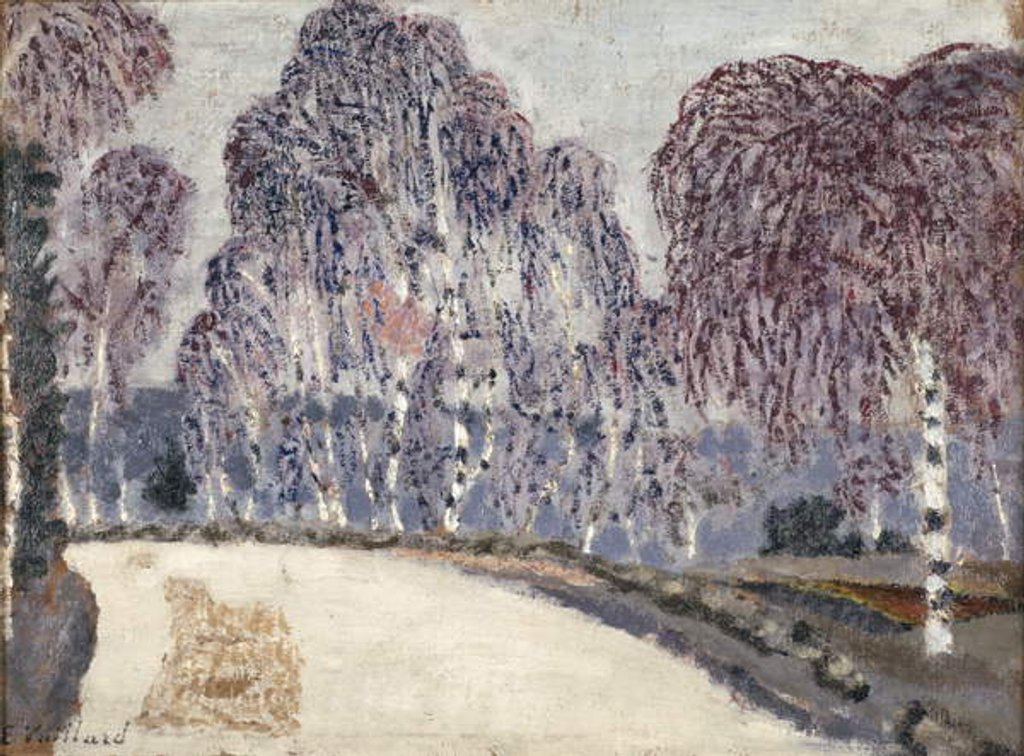 Detail of Birches at L'Etang-a-la-Ville, 1896 by Edouard Vuillard