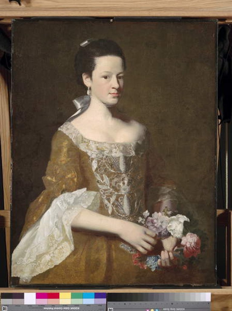 Detail of Dorothy Murray, c.1759-61 by John Singleton Copley