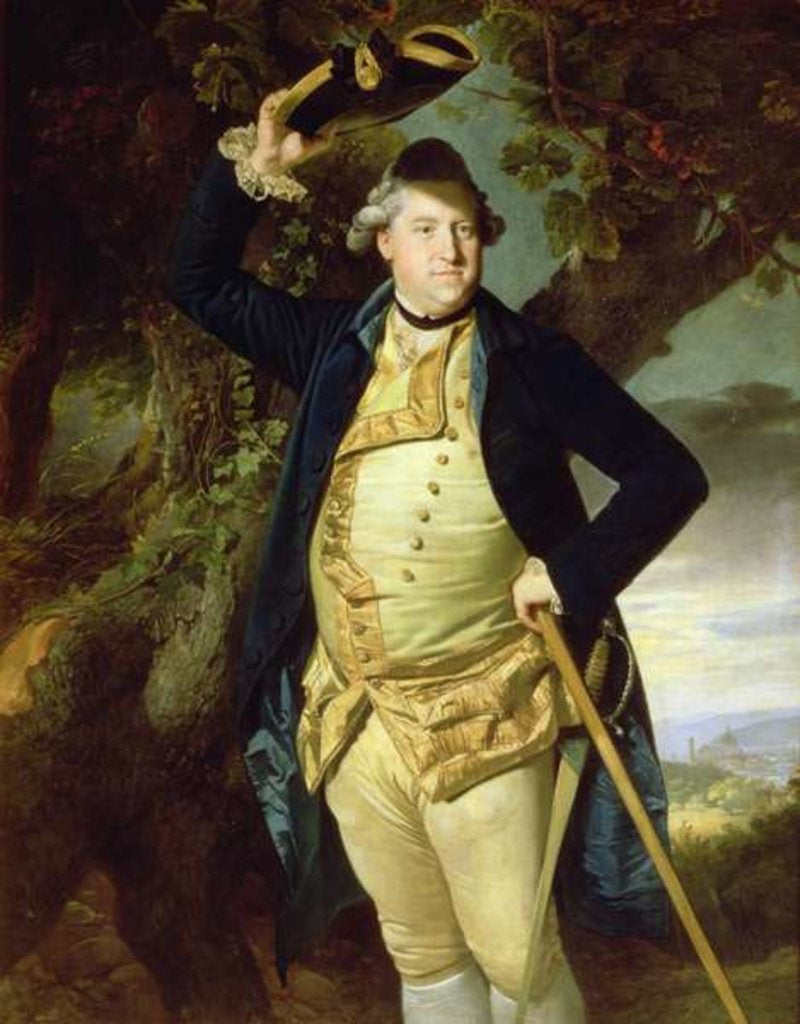 Detail of Portrait of George Nassau, 3rd Earl Cowper by Johann Zoffany