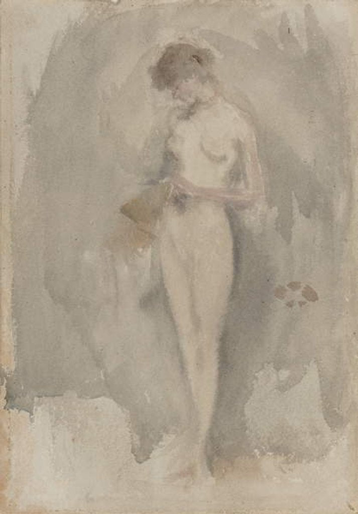 Detail of Study for 'The Tall Flower', c.1886 by James Abbott McNeill Whistler