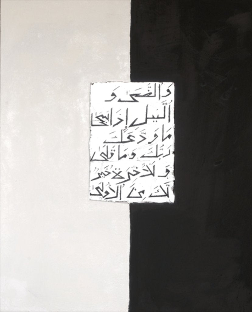 Detail of Day and Night, 2007 by Faiza Shaikh