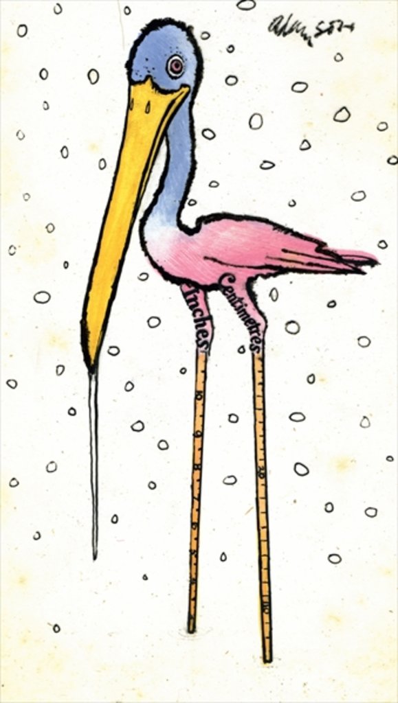 Detail of Stork with Calibrated Shanks, 1970s by George Adamson
