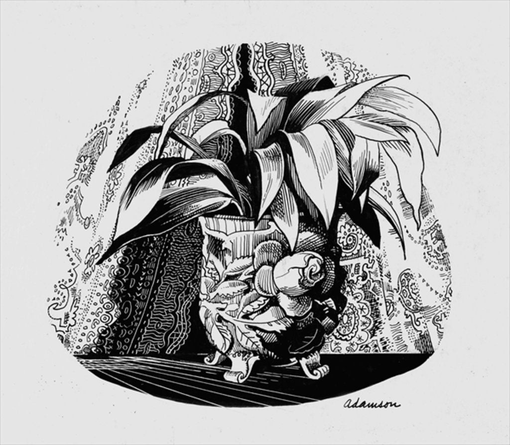 Detail of Aspidistra in a Bowl, 1950s by George Adamson