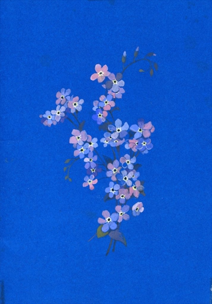 Detail of Forget-me-not, 1960s by George Adamson