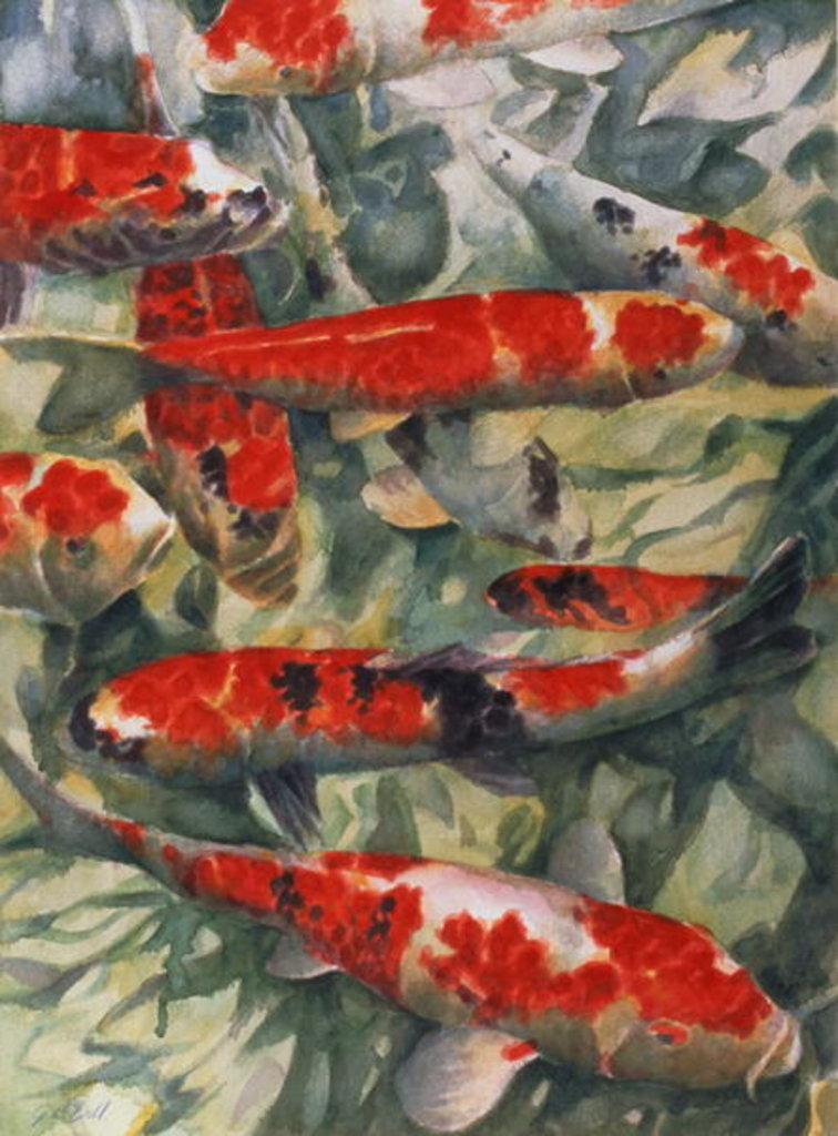 Detail of Koi Carp by Gareth Lloyd Ball