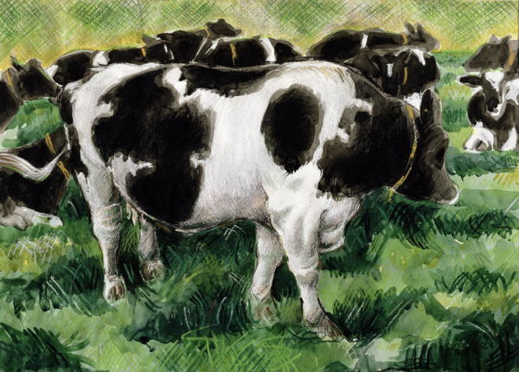 Detail of Friesian Cows by Gareth Lloyd Ball