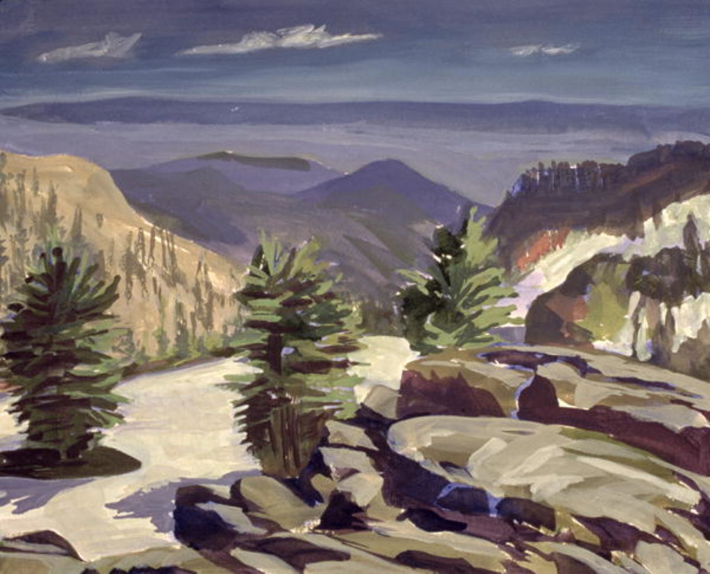 Detail of Mountain Vista, at Lassen Volcanic National Park, 2000 by Howard Ganz