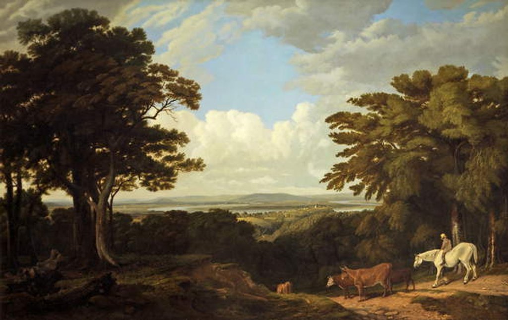 Detail of Newnham-on-Severn, Gloucestershire, from Dean Hill by William Turner