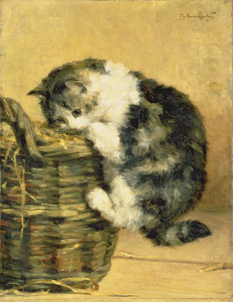Detail of Cat with a Basket by Charles van den Eycken