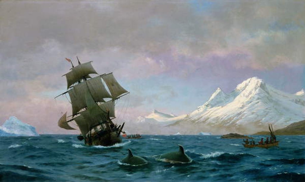 Detail of Catching whales, 1875 by J.E. Carl Rasmussen