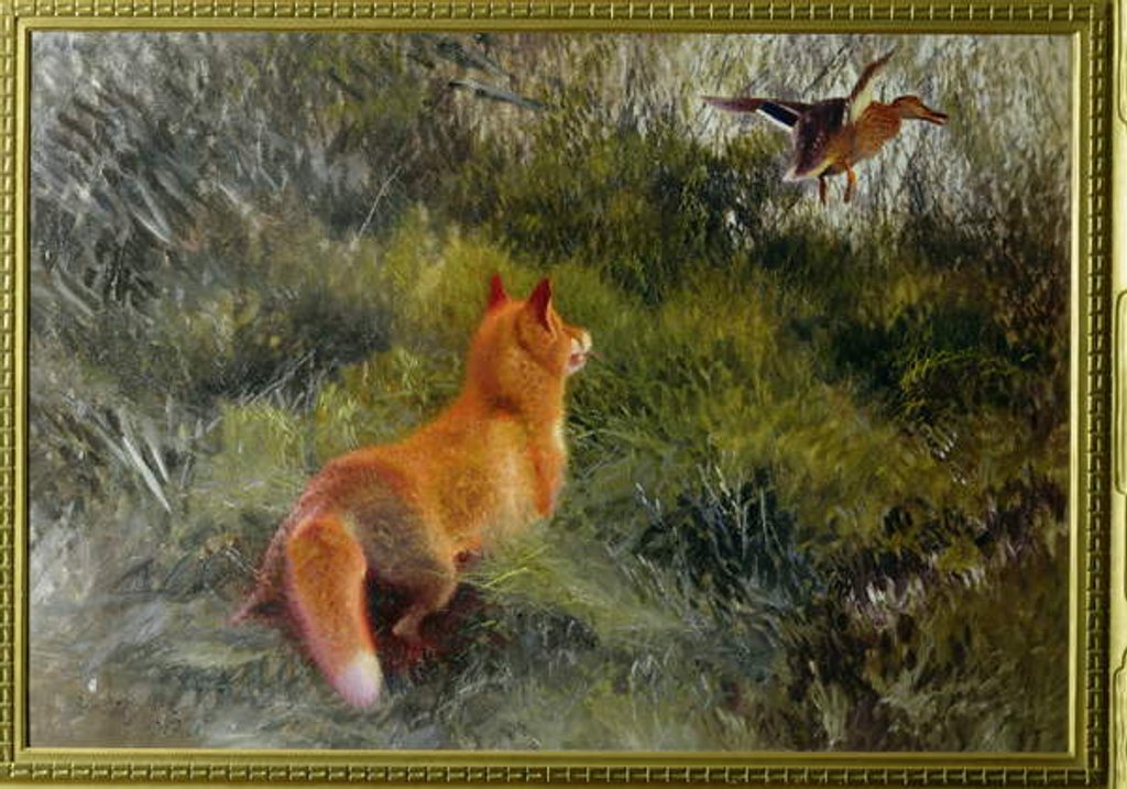 Detail of Eluding the Fox, 1912 by Bruno Andreas Liljefors