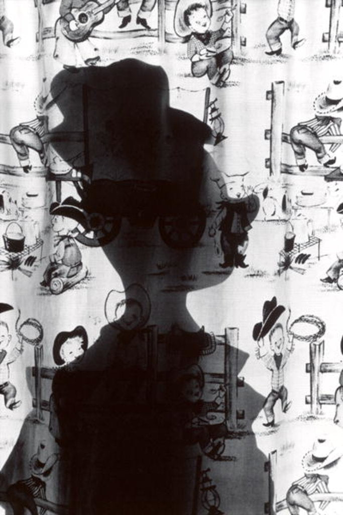 Detail of North Dakota Shadow, 2006 by James Galloway