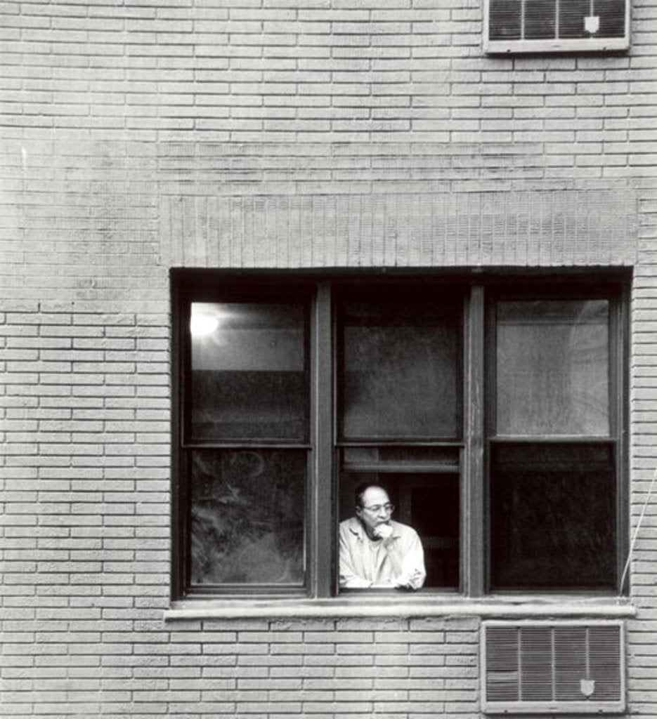 Detail of New York Window, 2006 by James Galloway