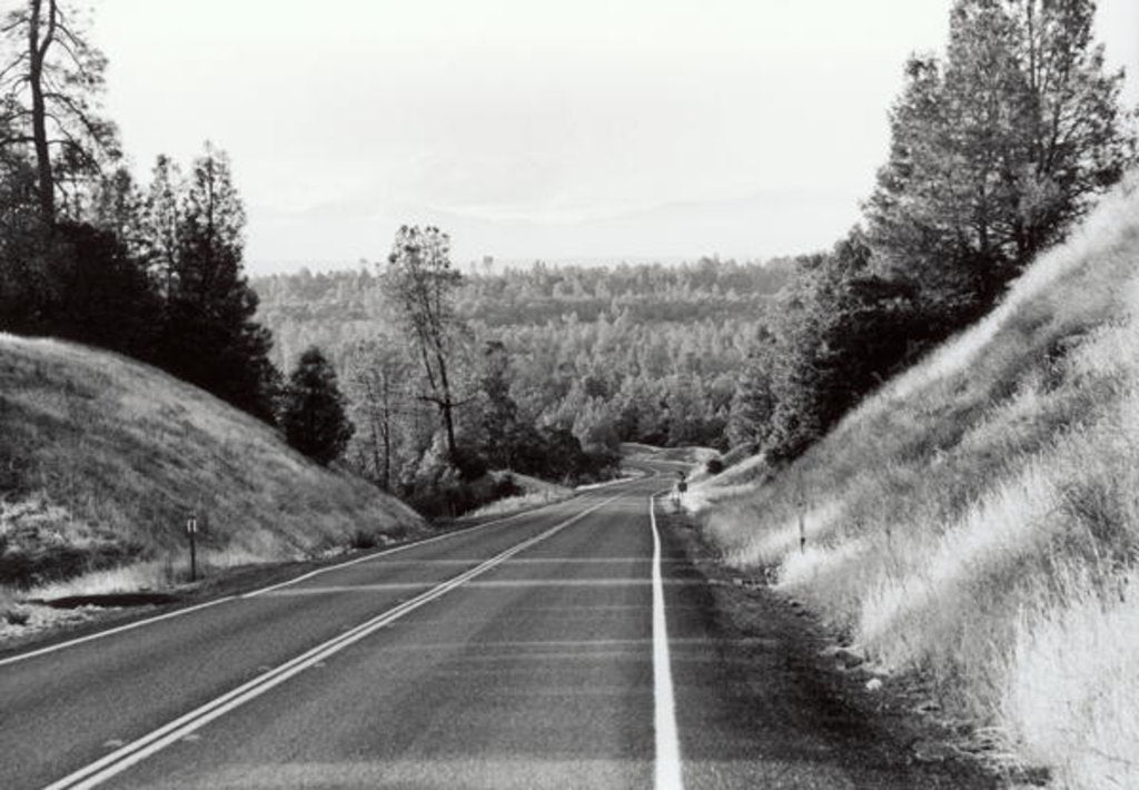 Detail of California Highway, CA, 2006 by James Galloway