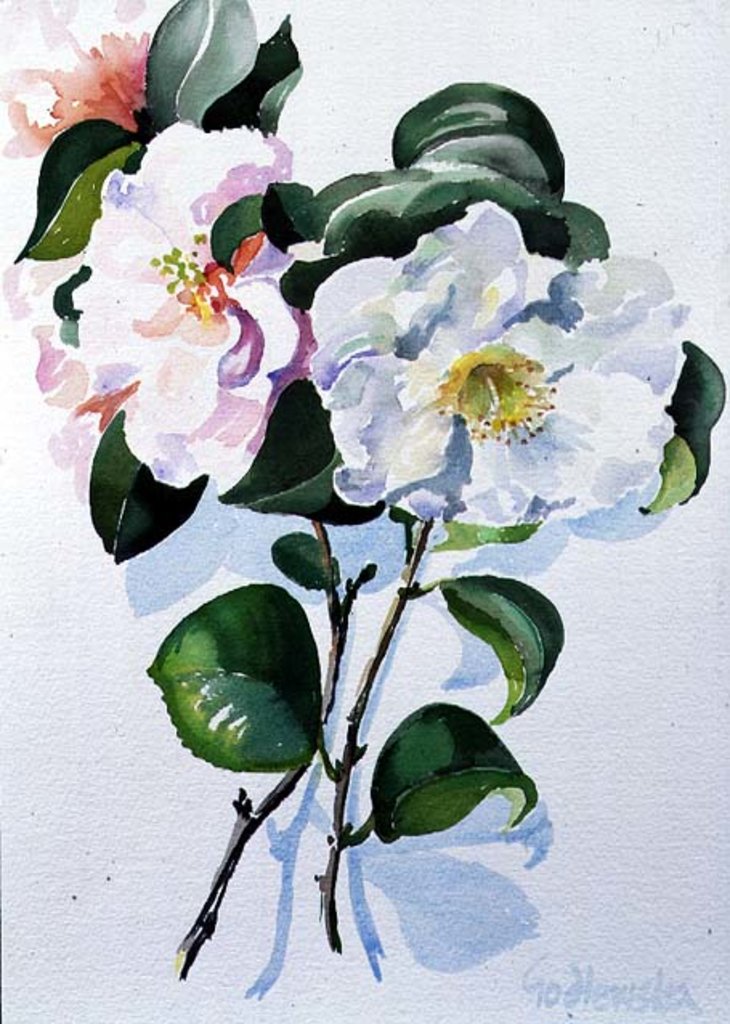 Detail of Camelia, 1998 by Izabella Godlewska de Aranda