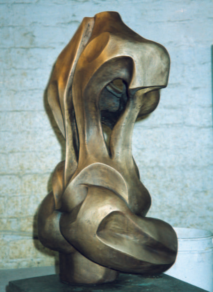 Detail of Woman, 2001 by Izabella Godlewska de Aranda
