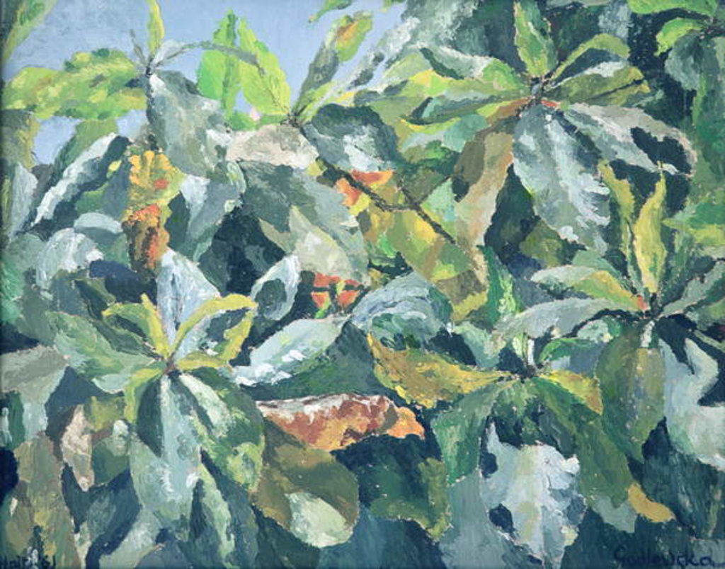Detail of Plants, 1961 by Izabella Godlewska de Aranda