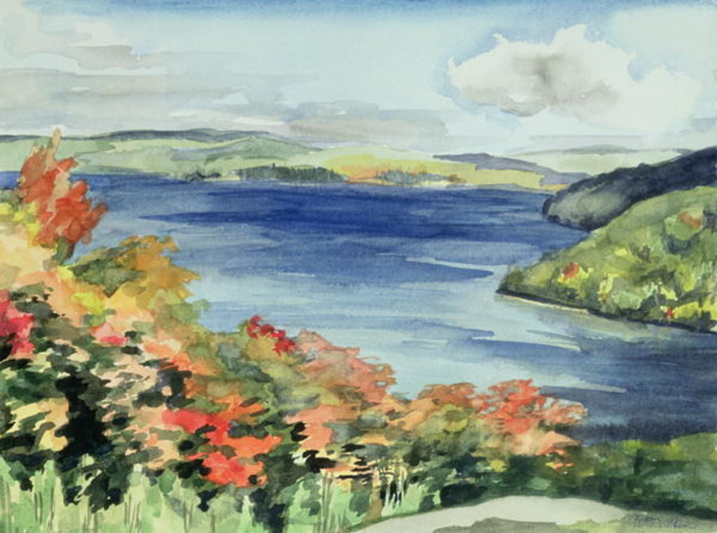 Detail of No.56 Lake Kaministikwia, Ontario, Canada by Izabella Godlewska de Aranda