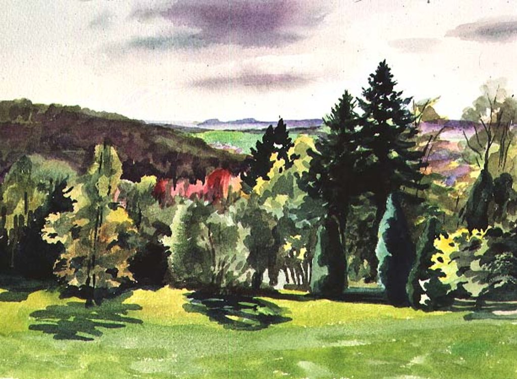 Detail of No.61 Summer, Beaufays, Liege, Belgium by Izabella Godlewska de Aranda