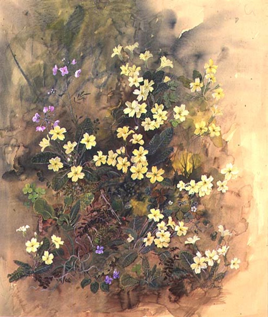 Detail of Primrose Bank by John Gubbins