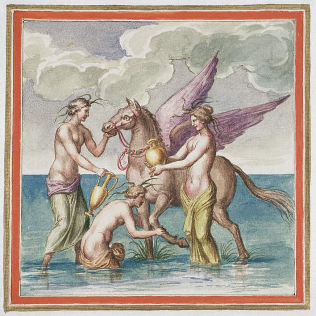 Detail of Ms Gen 1496 Plate XXX Pegasus, 1674 by Pietro Santi Bartoli