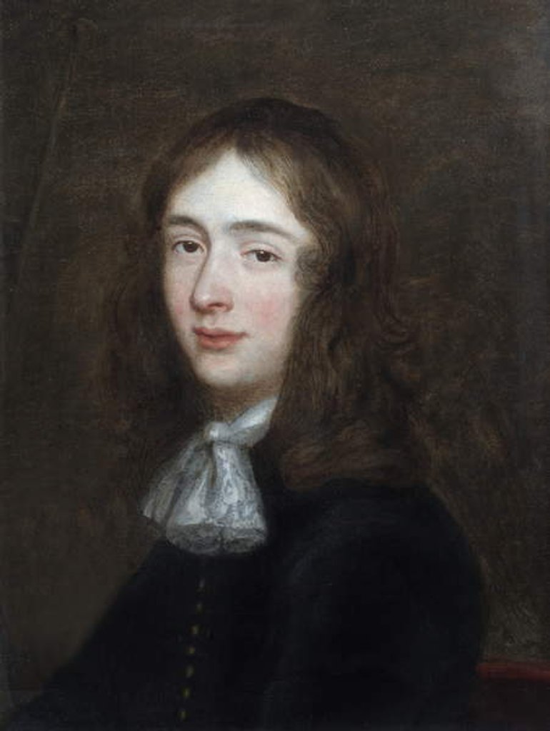 Detail of Portrait of a Youth by Gerard ter Borch or Terborch