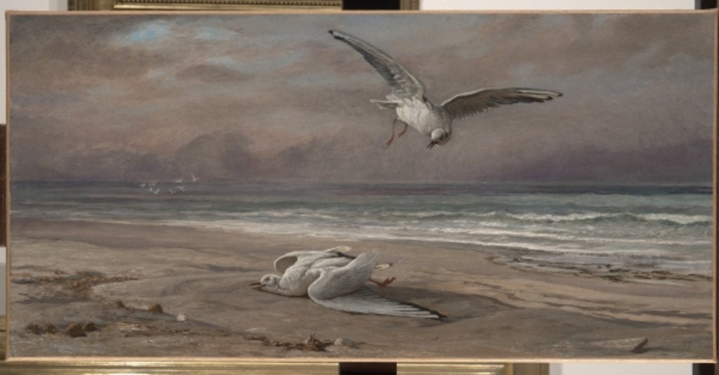 Detail of The Dying Sea Gull, 1879 by Elihu Vedder