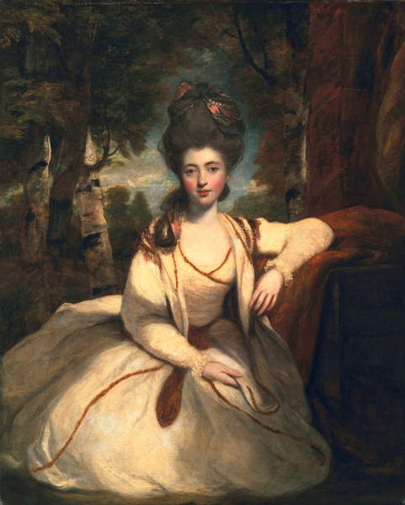 Detail of Frances Molesworth, later Marchioness Camden, 1777 by Joshua Reynolds