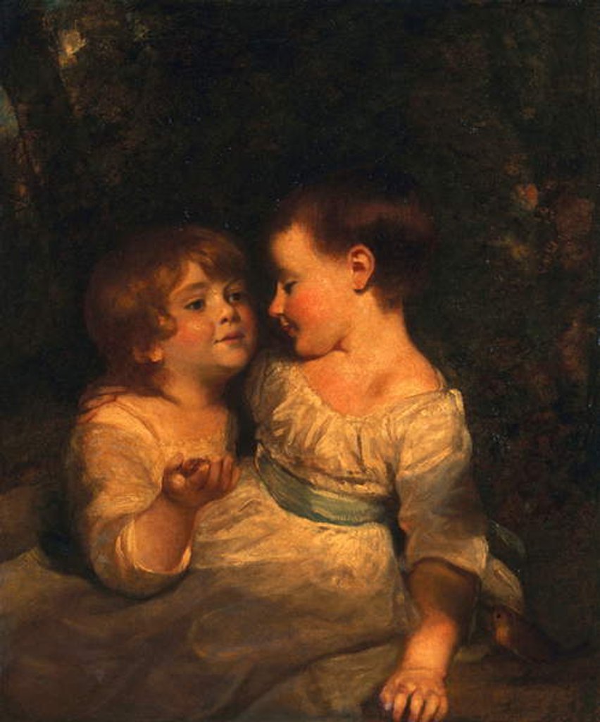Detail of The Vandergucht Children, 1785 by Joshua Reynolds