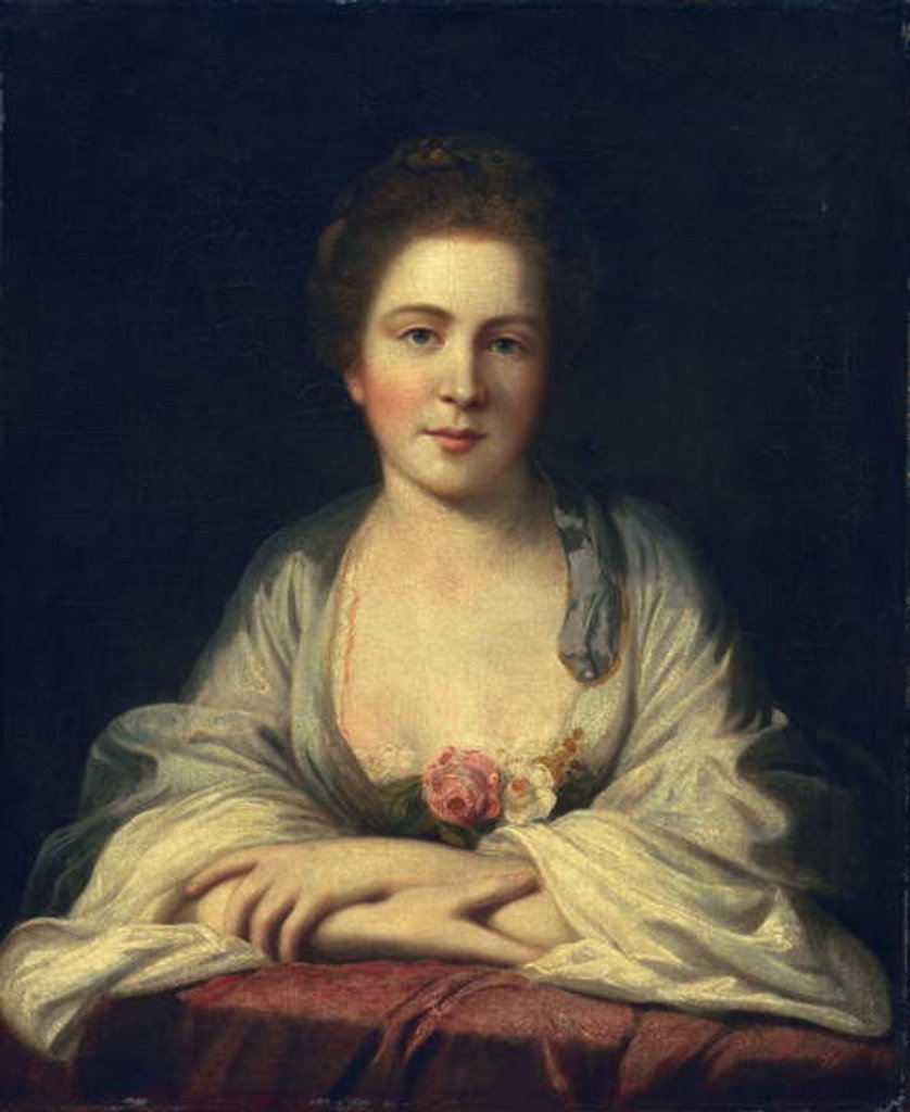 Detail of Anne Irwin, 1761 by Joshua Reynolds